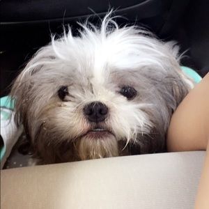 Meet your Posher, Lucero